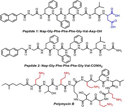 Charge-Mediated Co-assembly of Amphiphilic Peptide and Antibiotics Into Supramolecular Hydrogel With Antibacterial Activity